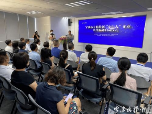 精準(zhǔn)定位 精心謀劃 精湛服務(wù) 寧波打造專精特新 小巨人 企業(yè)定制服務(wù)體系綜述