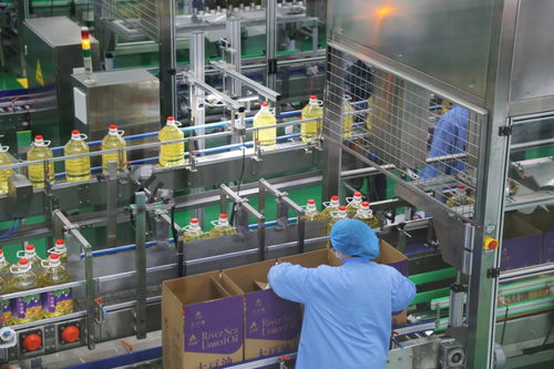 偏遠(yuǎn)小島崛起 世界級(jí)工廠 浙江自貿(mào)區(qū)創(chuàng)新成果不斷