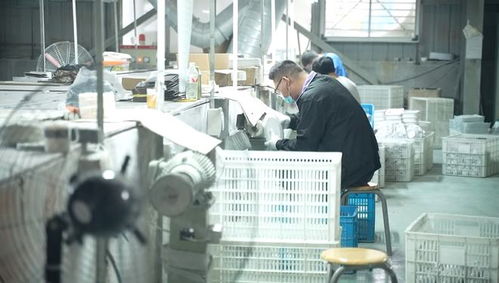 牢記囑托奔共富 衢江區提供精準法律服務 助力企業復工復產