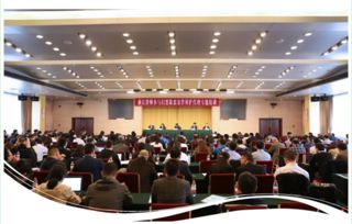 寧波市律師協會網