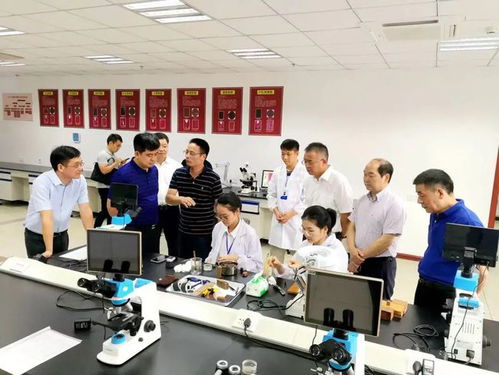 浙江東陽木雕及紅木制品質量檢驗檢測中心成為國字號質檢中心